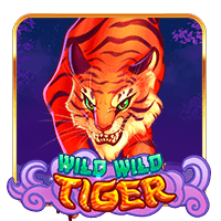 WILD WILD TIGER